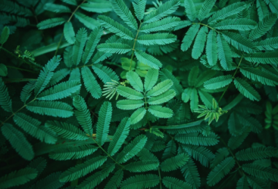 ​丽字开头的网名(精选97个)