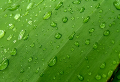 ​一个字简约又内涵的昵称(优选172个)