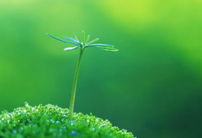 ​好听的励志网名(精选101个)