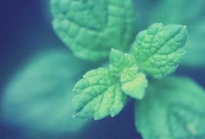 ​活出自我的网名(精选87个)