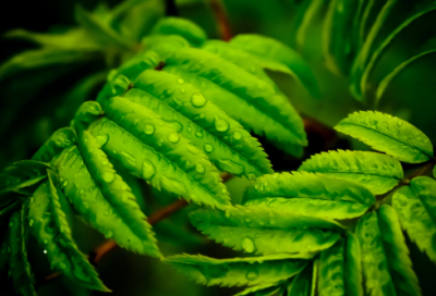 ​姐妹群好听高雅的名字(121个)