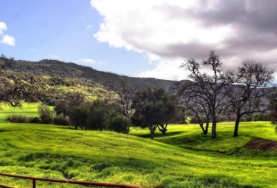 ​天蝎座的高级昵称(88个)