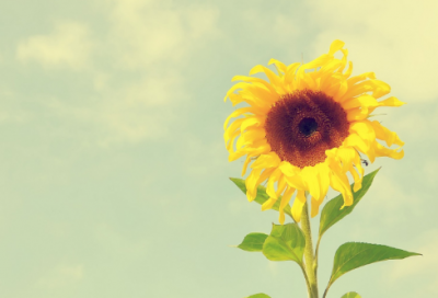 ​没点大病想不出来的网名(98个)