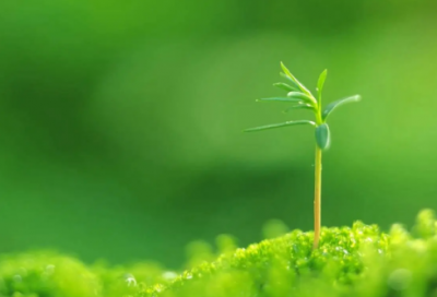 ​关于怦然心动的昵称(精选98个)