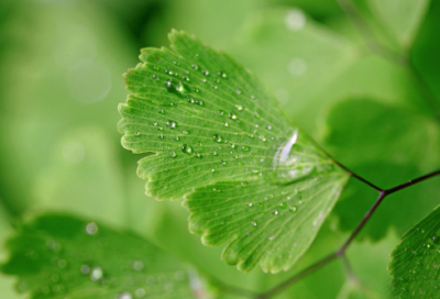 ​唯美一点的网名(精选101个)