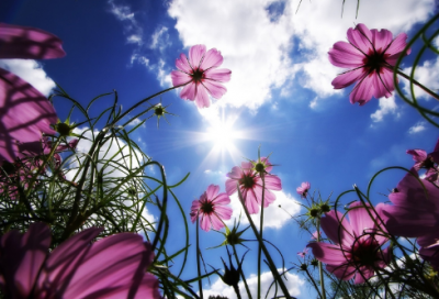 ​艾尔之光工会名字(精选82个)