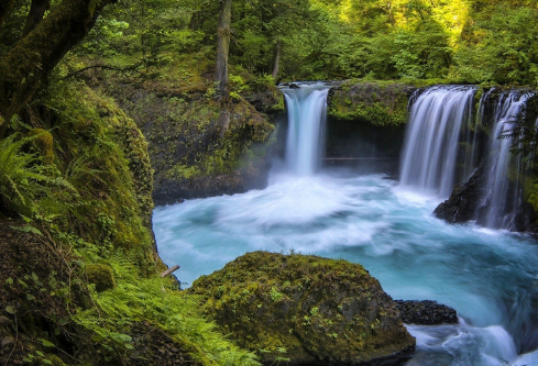 1692957071797034.png image.png