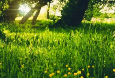 ​冷门且不落俗的昵称(优选85个)