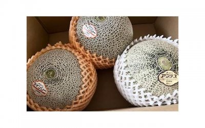 ​五谷丰登造句子简短汇聚50条