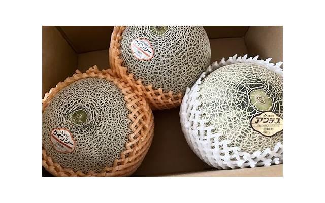 五谷丰登造句子简短汇聚50条 五谷丰登造句子简短汇聚50条