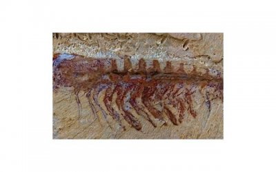 ​心情低落的原因有哪些（表示心情低落的词语有哪些）