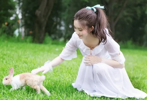 1689899143672727.png image.png