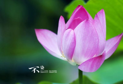 ​祝福的微信网名大全191个