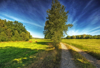 ​比较好听的长网名175个