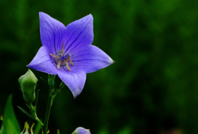 ​四个字的网名霸气226个