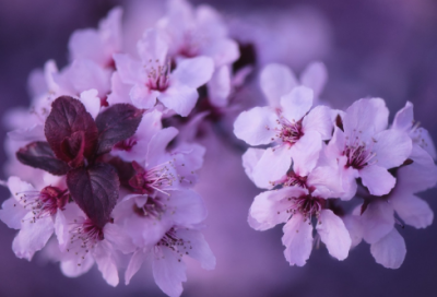 ​很拽网名大全205个