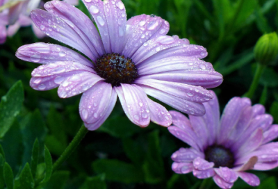 ​伤感空间名字400个