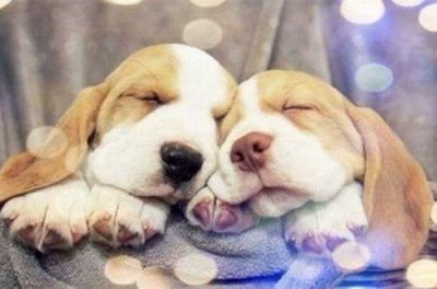 ​高中优美句子25句