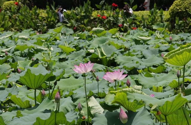 40岁女人网名大全(精选81个) 40岁女人网名大全(精选81个)