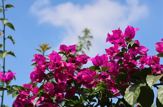 好听的繁体非主流网名(精选74个)