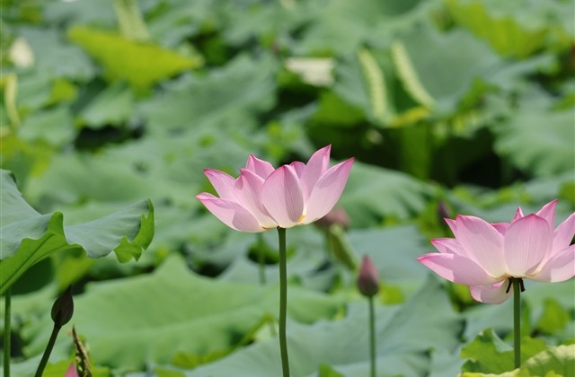 初中生昵称5个字 微信5个字网名昵称72个