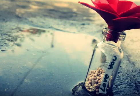 1685516072802000.png image.png