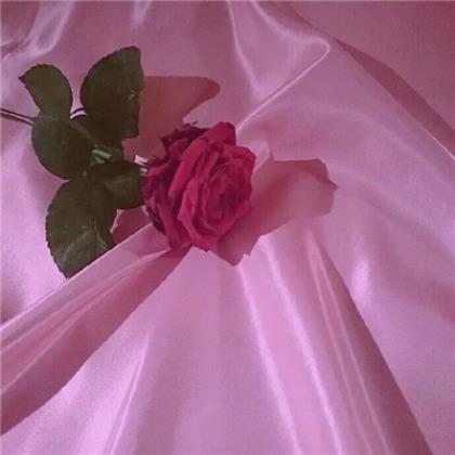 描写父母外貌的句子