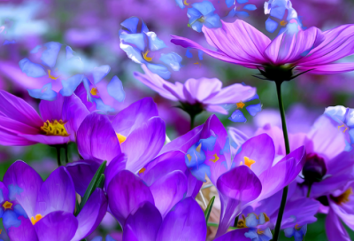 ​把我当傻子的经典句子 背叛和欺骗的经典语录(精选75句)