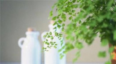 ​伤感爱情短句大全 浪漫爱情句子短句