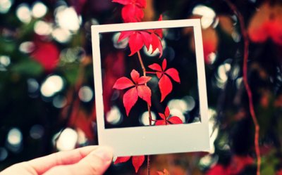 ​简单生活的句子唯美短句（对简单生活的唯美好句子）