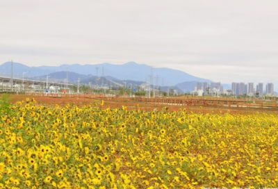 ​祖国风光的谚语