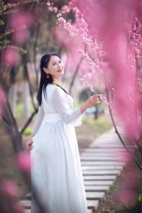 ​曲风华诗选5首 介绍胡杨林的唯美句子