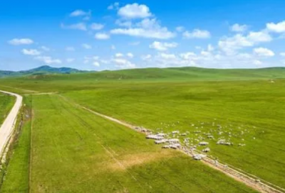 ​志愿者唯美简短的句子（志愿者正能量的句子）