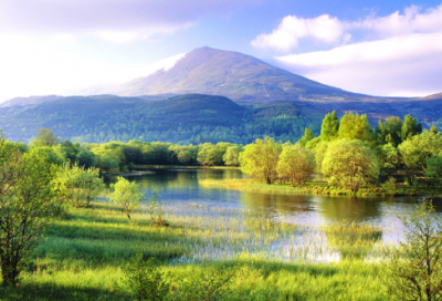 ​214情人节送花温馨思念经典句子说说100句