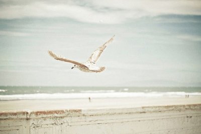 ​朋友圈说说的好句子 发朋友圈的句子(精选81句)