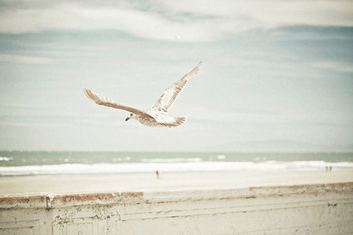 朋友圈说说的好句子 222发朋友圈的句子(精选81句)