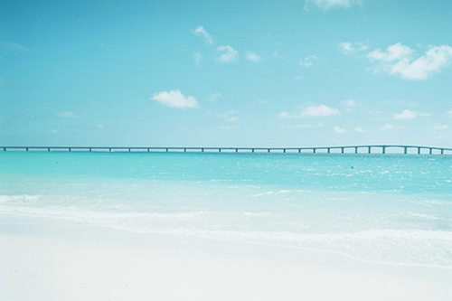 赞美三八妇女节的句子(精选90句)