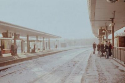 ​网络最火流行语[20句] (网络语言流行语大全)