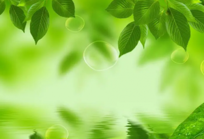 ​《北京的春节》教案设计