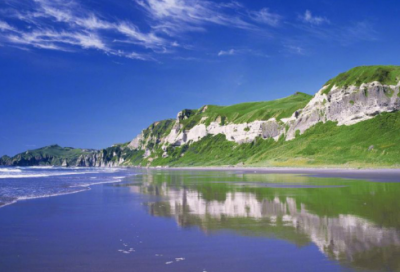 ​《作为生物的社会》教案