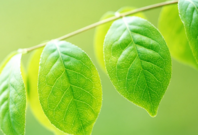 ​学生安全教育教案