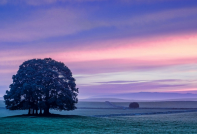 ​《渔夫的故事》教案