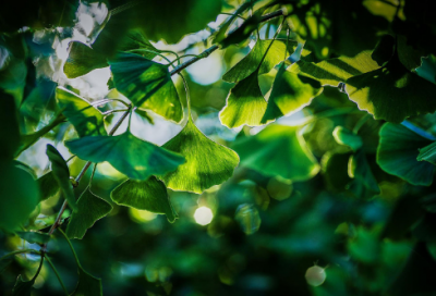 ​小学健康教育教案