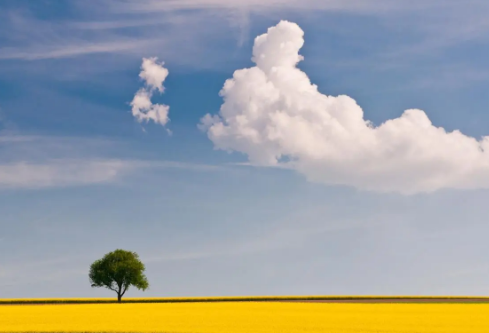 1688984252782938.png image.png