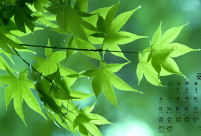 ​学生手册的家长评语