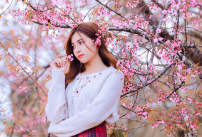 ​被伤过的网名大全(共231个)