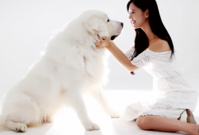 ​帅哥爱到心痛的qq网名(优选221个)