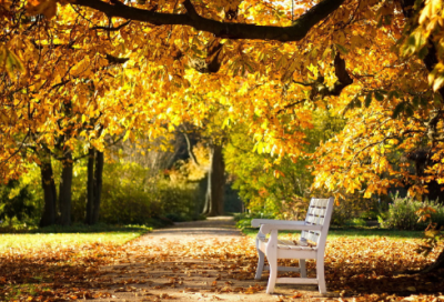 ​倒退十年的经典语录 【如果倒退十年的说说】