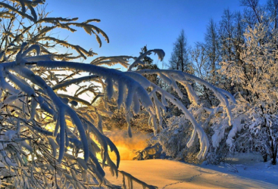 ​集体正能量经典语录 【集体正能量的句子】