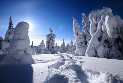 ​国学经典朋友圈文案 【100句精选】